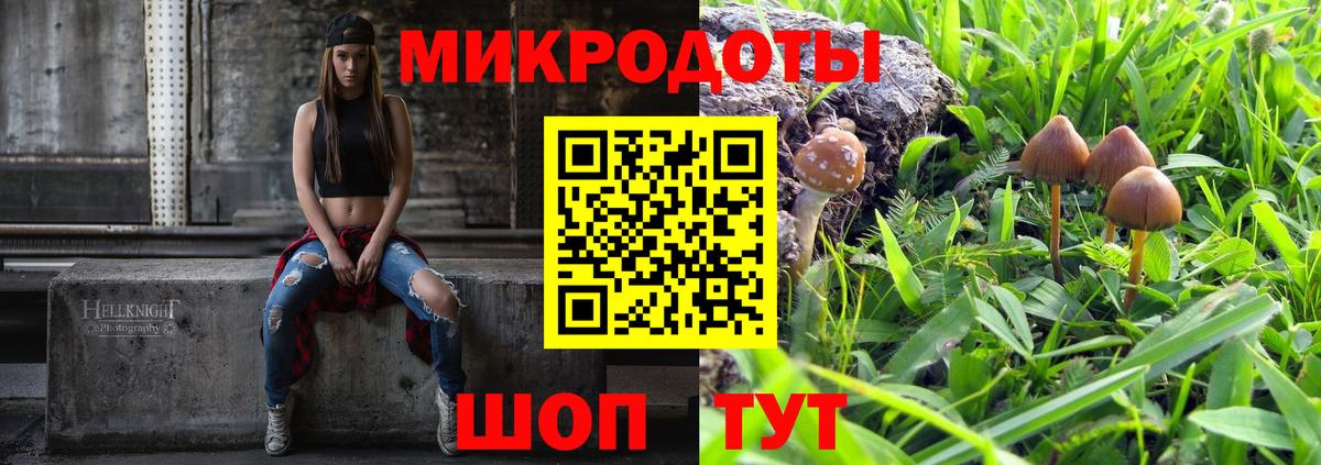 Псилоцибиновые грибы прущие грибы Зерноград