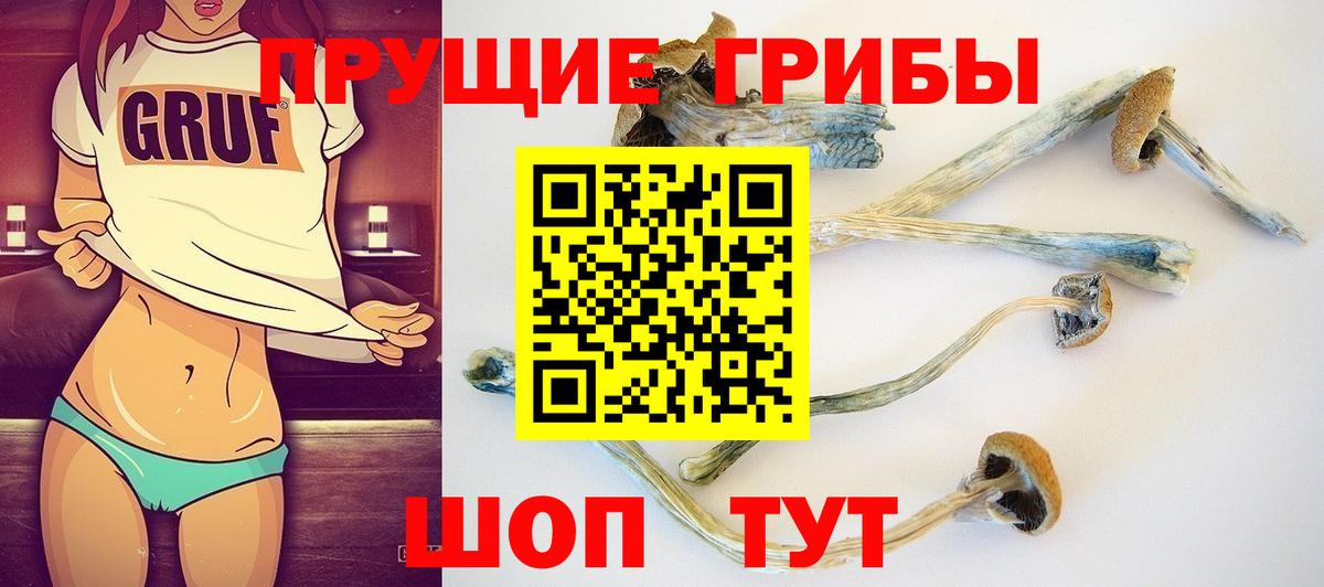 Зерноград  Галлюциногенные грибы MAGIC MUSHROOMS  Вход с VPN  Галлюциногенные грибы мицелий 